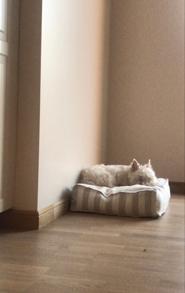Dryžuota balta ir ruda tvari / ekologiška itin minkšta lininė šunų lova